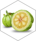 ingredient-garcinia-cambogia